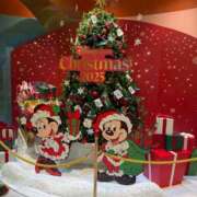 ヒメ日記 2025/11/26 20:46 投稿 らら クラスメイト