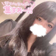 ヒメ日記 2025/02/09 15:08 投稿 せいな ちゃんこ大阪伊丹空港豊中店