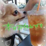 ヒメ日記 2025/07/07 21:15 投稿 ちなつ 奥鉄オクテツ大阪