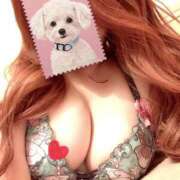 ヒメ日記 2025/04/04 11:08 投稿 七倉ありさ 横浜ダンディー