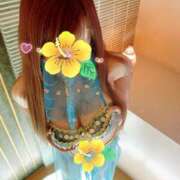 ヒメ日記 2025/04/15 06:41 投稿 七倉ありさ 横浜ダンディー