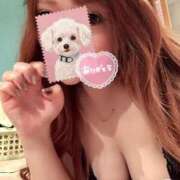 ヒメ日記 2025/04/20 11:02 投稿 七倉ありさ 横浜ダンディー