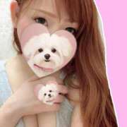 ヒメ日記 2025/05/20 06:21 投稿 七倉ありさ 横浜ダンディー