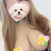 ヒメ日記 2025/07/15 18:25 投稿 七倉ありさ 横浜ダンディー