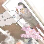 ヒメ日記 2025/03/23 00:39 投稿 なみ OL倶楽部