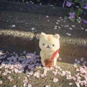 ヒメ日記 2026/04/13 11:15 投稿 らら ぽっちゃりきぶん