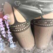 ヒメ日記 2025/02/21 22:20 投稿 松山おとは おもてなし妻