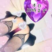 ヒメ日記 2025/03/08 09:51 投稿 松山おとは おもてなし妻