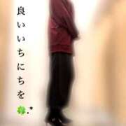 ヒメ日記 2025/11/28 11:43 投稿 松山おとは おもてなし妻