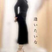 ヒメ日記 2026/02/19 09:51 投稿 松山おとは おもてなし妻