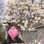 ヒメ日記 2026/03/24 17:57 投稿 松山おとは おもてなし妻