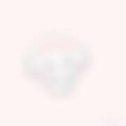 ヒメ日記 2026/01/07 23:54 投稿 ホトトギス 飾窓