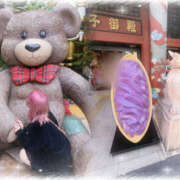 ヒメ日記 2026/01/23 15:42 投稿 ホトトギス 飾窓