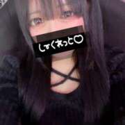 ヒメ日記 2025/04/29 15:07 投稿 さくら 黒い金魚（札幌）