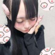 ヒメ日記 2025/11/03 16:22 投稿 さくら 黒い金魚（札幌）