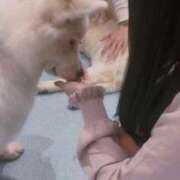 さくら 出勤🎀 黒い金魚（札幌）