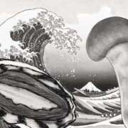 ヒメ日記 2024/12/29 00:15 投稿 ♦舌凛抜刀斎♦(ゼツリン) 翡翠の夢