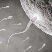 ヒメ日記 2025/01/18 00:45 投稿 ♦舌凛抜刀斎♦(ゼツリン) 翡翠の夢