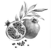 ヒメ日記 2025/03/08 12:25 投稿 ♦舌凛抜刀斎♦(ゼツリン) 翡翠の夢