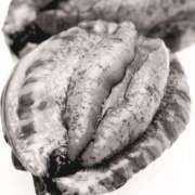 ヒメ日記 2025/03/14 08:55 投稿 ♦舌凛抜刀斎♦(ゼツリン) 翡翠の夢