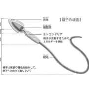 ヒメ日記 2025/03/20 10:25 投稿 ♦舌凛抜刀斎♦(ゼツリン) 翡翠の夢
