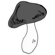 ヒメ日記 2025/09/26 11:09 投稿 ♦舌凛抜刀斎♦(ゼツリン) 翡翠の夢