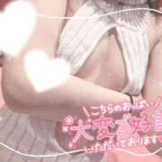 ヒメ日記 2024/12/24 18:55 投稿 ふわり 若葉