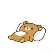 ヒメ日記 2024/12/30 00:26 投稿 ふわり 若葉