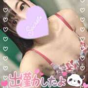 ヒメ日記 2024/12/30 14:24 投稿 ふわり 若葉