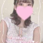 ヒメ日記 2025/02/06 08:25 投稿 ふわり 若葉