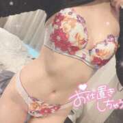 ヒメ日記 2025/02/10 18:25 投稿 ふわり 若葉