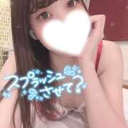 ヒメ日記 2025/02/11 12:25 投稿 ふわり 若葉