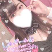 ヒメ日記 2025/03/12 12:07 投稿 ふわり 若葉