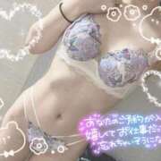 ヒメ日記 2025/03/27 14:15 投稿 ふわり 若葉