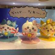 ヒメ日記 2025/05/07 07:35 投稿 ふわり 若葉