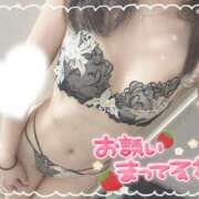 ヒメ日記 2025/07/05 07:25 投稿 ふわり 若葉