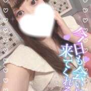 ヒメ日記 2025/08/01 13:15 投稿 ふわり 若葉