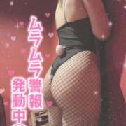 ヒメ日記 2025/11/22 15:15 投稿 ふわり 若葉