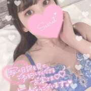 ヒメ日記 2025/11/23 13:45 投稿 ふわり 若葉