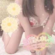 ヒメ日記 2025/11/27 09:55 投稿 ふわり 若葉