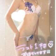 ふわり 🦋残り1枠です🦋 若葉