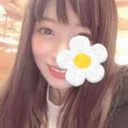 ヒメ日記 2025/04/08 17:20 投稿 なの チューリップ姫路店