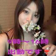 ヒメ日記 2025/11/21 13:50 投稿 なの チューリップ姫路店