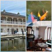 ヒメ日記 2025/05/30 13:42 投稿 こい[山口] 奥様鉄道69 FC山口店(周南)