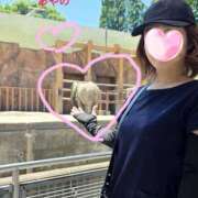 ヒメ日記 2026/06/05 07:26 投稿 あやの モアグループ宇都宮人妻花壇