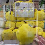 ヒメ日記 2025/03/16 20:02 投稿 めい Vivienne池袋西口店