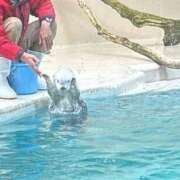 ヒメ日記 2025/05/11 01:21 投稿 かぐや 秋葉原コスプレ学園(AKG)