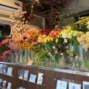 ヒメ日記 2025/06/15 18:51 投稿 かぐや 秋葉原コスプレ学園(AKG)