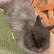 ヒメ日記 2025/09/10 15:23 投稿 かぐや 秋葉原コスプレ学園(AKG)