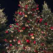 ヒメ日記 2025/12/14 18:51 投稿 かぐや 秋葉原コスプレ学園(AKG)